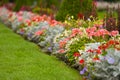 Flowerbed in park Royalty Free Stock Photo