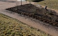 Flowerbed with perennials and ornamental grasses lit by the negligence of a park visitor cigarette butts. a blackened bed full of Royalty Free Stock Photo