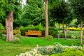 a flowerbed with plants in a summer park with walk path.