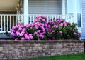 Flowerbed Porch Retailing Wall Royalty Free Stock Photo