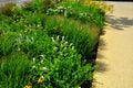 Flowerbed on the promenade in the park with ornamental perennials. the edge is a curved curb of granite paving blocks. separates t