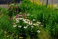 Flowerbed on the promenade in the park with ornamental perennials. the edge is a curved curb of granite paving blocks. separates t