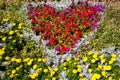 Flowerbed with red petunia and yellow marigold flowers in park Royalty Free Stock Photo