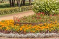 Flowerbed in the summer park Royalty Free Stock Photo