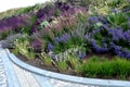 Flowerbed with tall perennial plant of white flowers and undergrowth of yellow perennials and sage in a dry composition of yellow Royalty Free Stock Photo