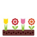 Flowerbed with tulips and colorful flowers with green leaves in