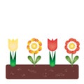 Flowerbed with tulips and colorful flowers with green leaves in