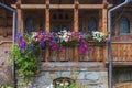 Flowerbeds on the balcony of a wooden house