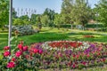 Flowerbeds with bright pink-purple-red-white flowers among the green lawn