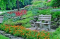 Flowerbeds, decorative plants in a park Royalty Free Stock Photo