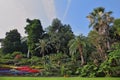 The flowerbeds in an exotic park