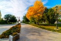 Flowerbeds, Grass Pathway and Ornamental Vase in a Formal Garden