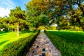 Flowerbeds, Grass Pathway and Ornamental Vase in a Formal Garden