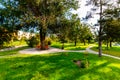 Flowerbeds, Grass Pathway and Ornamental Vase in a Formal Garden