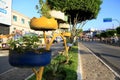 flowerbeds made with recycling