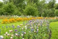 Flowerbeds in Park Royalty Free Stock Photo