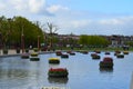 Flowerbeds with tulips on the water