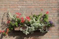 A flowerbox with geraniums and blue flowers closeup in summer Royalty Free Stock Photo