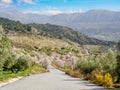 Flowered Almond trees near Beas de Granada , Spain