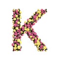 Flowered alphabet floral letter collection