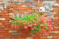 Flowered balconies with pots of Geraniums in the rural house Royalty Free Stock Photo