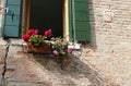 flowered balcony with the flower pots geraniums blossomed in spr Royalty Free Stock Photo