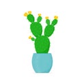 Flowered cactus in a flat style. Blossomed house succulent in pot. Vector illustration