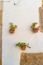 Flowered ceramic vases set into the wall of a house along the old town in Faro, Algarve, Portugal Royalty Free Stock Photo