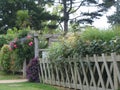 Flowered Fence Royalty Free Stock Photo