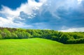 flowered green meadow trees and clouds landscape