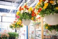 flowered hanging baskets in a retail setting Royalty Free Stock Photo