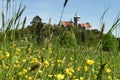 Flowered Meadow under Smolenice Castle, Little Carpathians, Trnava Region, Slovakia