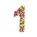 Flowered numbers floral letter collection