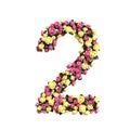 Flowered numbers floral letter collection