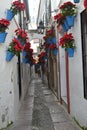 Flowered street