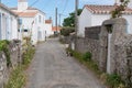 Flowered street on the isle of Noirmoutier