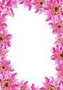 Flowerframe Royalty Free Stock Photo