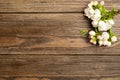 Flowering apple tree branch on wooden background. Spring concept. Flat layout. View from above. Copy space. Royalty Free Stock Photo