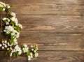 Flowering apple tree branch on wooden background. Spring concept. Flat layout. View from above. Copy space Royalty Free Stock Photo