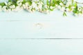 Flowering apple tree branch on wooden blue background. Spring concept. Flat layout. View from above. Copy space Royalty Free Stock Photo