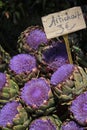 Flowering artichoke Provence market
