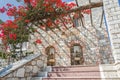 Flowering Bougainvillea on wooden patio pergola on