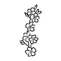 flowering branch of apple tree. Hand drawing in ink, sketch, outline. Royalty Free Stock Photo