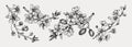 Flowering branch with buds and leaves set. Cherry and almond in flowers sketches in engraved style. Vintage floral drawing.