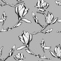 Vector seamless pattern. Ornament of twigs of magnolia flowers