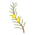 Flowering branch icon isometric vector. Branch shrub or tree with yellow flower