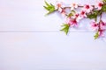 Flowering branches of Almond on a light lilac wooden table