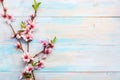 Flowering branches of Almond on a wooden table