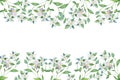 Flowering branches of bergamot, watercolor white flowers on branches with green and leaves. Watercolor banner for beautiful weddin