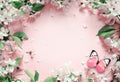 Flowering branches and petals on a pink background and butterfly. Royalty Free Stock Photo